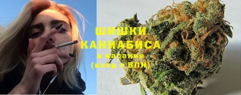 магазин продажи наркотиков  Новоалтайск  Канабис Bruce Banner 